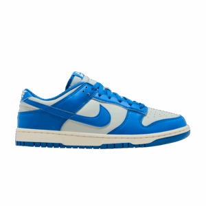 Nike Dunk Low Detroit Lions